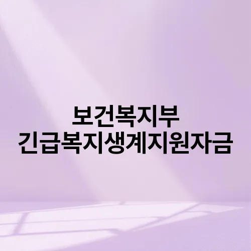 보건복지부 긴급복지생계지원자금
