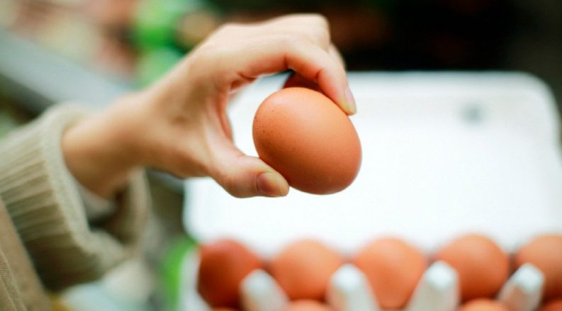 계란-번호-의미