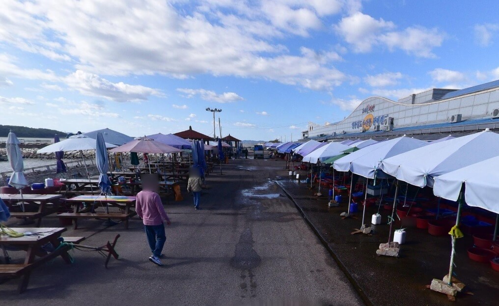 오늘N 수상한 가족 영광 설도항 새우젓 판매 신성호 주문방법