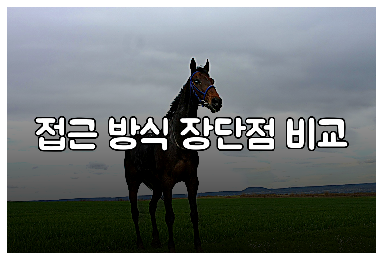 접근 방식 장단점 비교