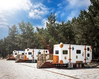 연곡 솔향기 캠핑장_5