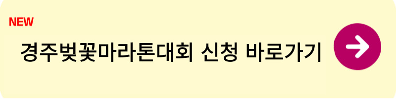 경주벚꽃마라톤대회1