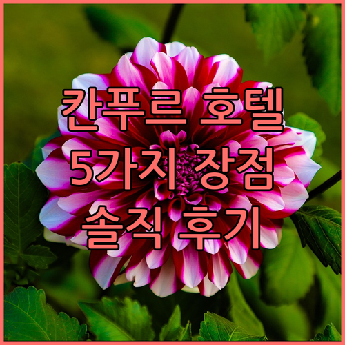 칸푸르 레드 오키드 호텔, 놓치면 후