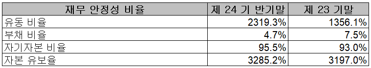 나노신소재 - 재무 안정성 비율