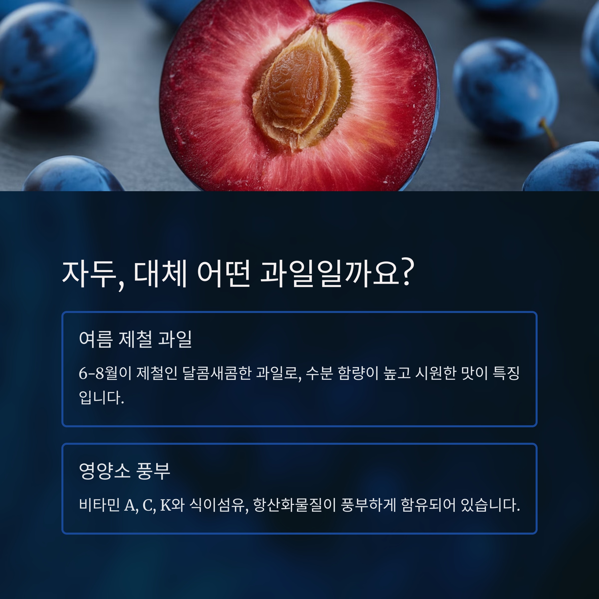 자두, 대체 어떤 과일일까요? 🌸