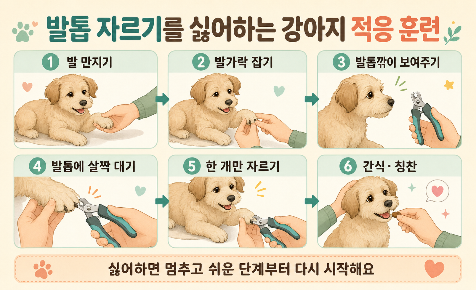 발톱 자르기를 싫어하는 강아지 적응 훈련 순서 이미지