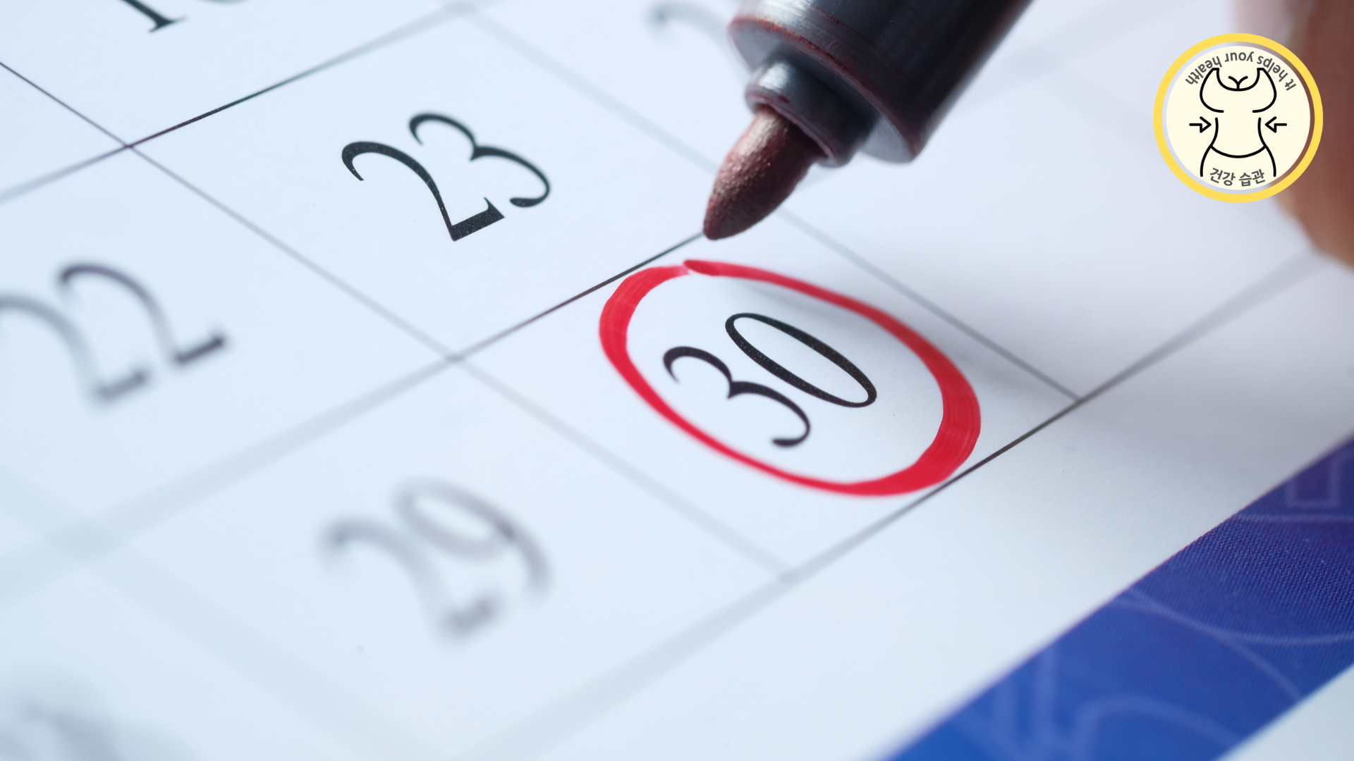 생리 주기는 매월 똑같다?