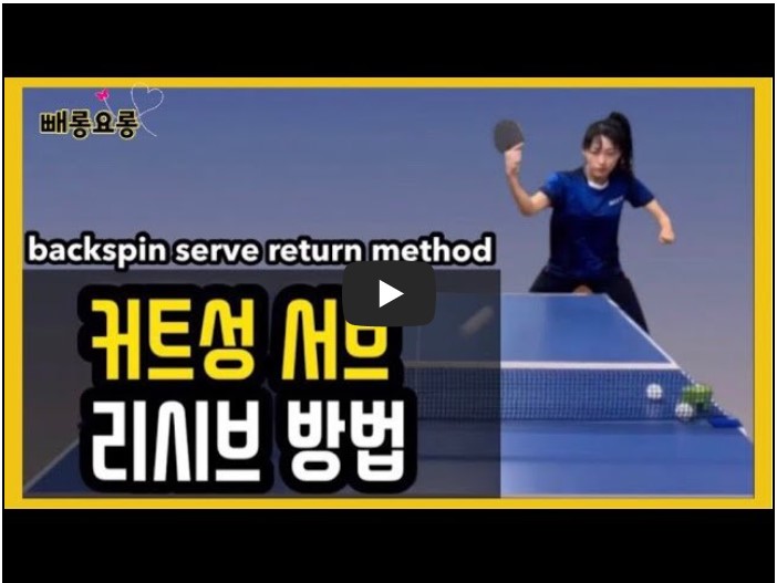 탁구 유튜버 순위 TOP 10 7