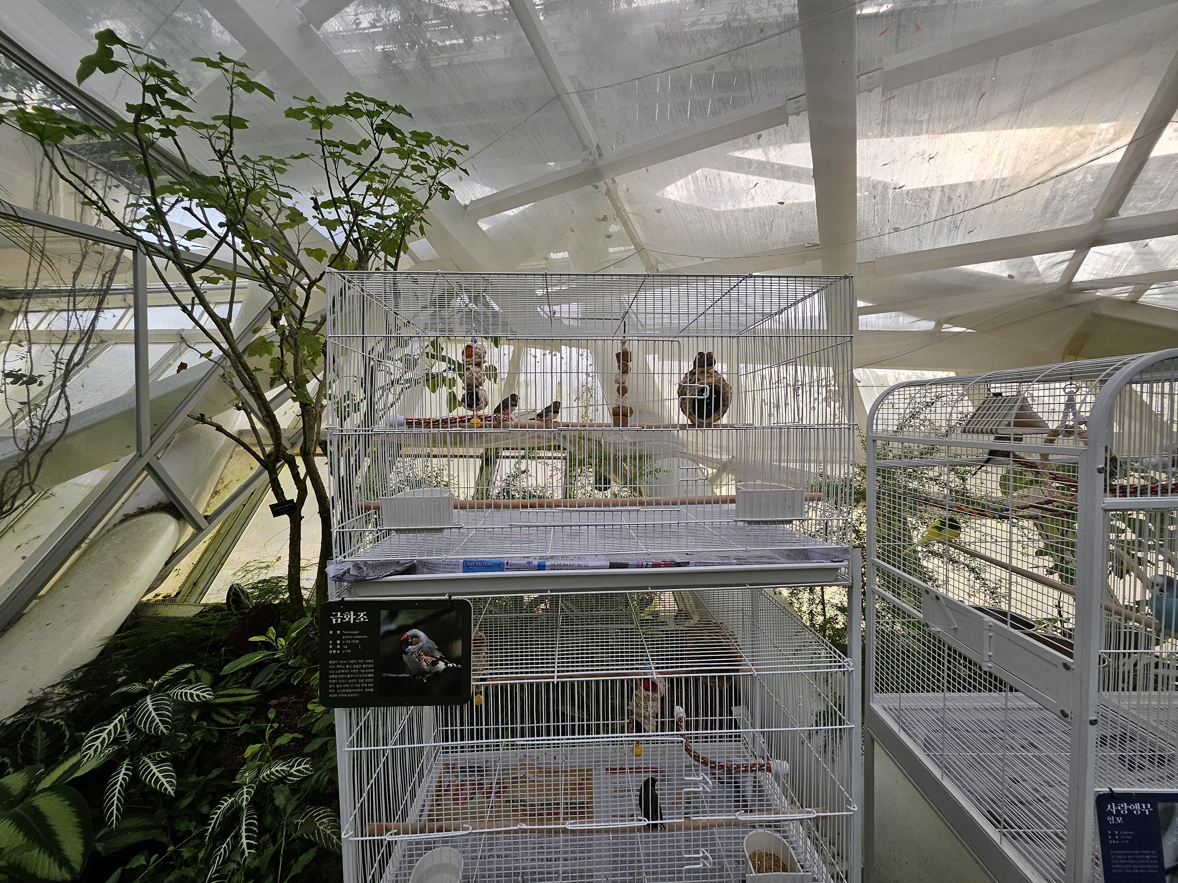 겨울 실내 아이와 가볼만한곳 부천호수공원 식물원 수피아