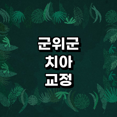 대구 군위군 교정 치과