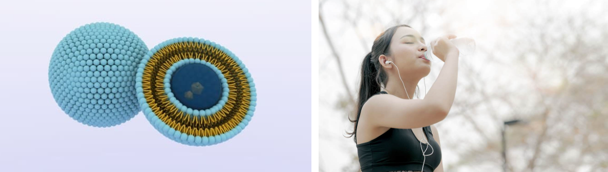 글루타치온과 간 해독 기능