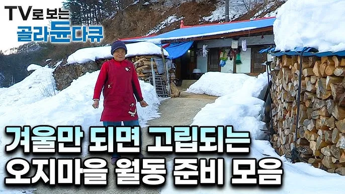 겨울 월동 준비 보온자재 덮개 동해 예방 물주기 조절_8