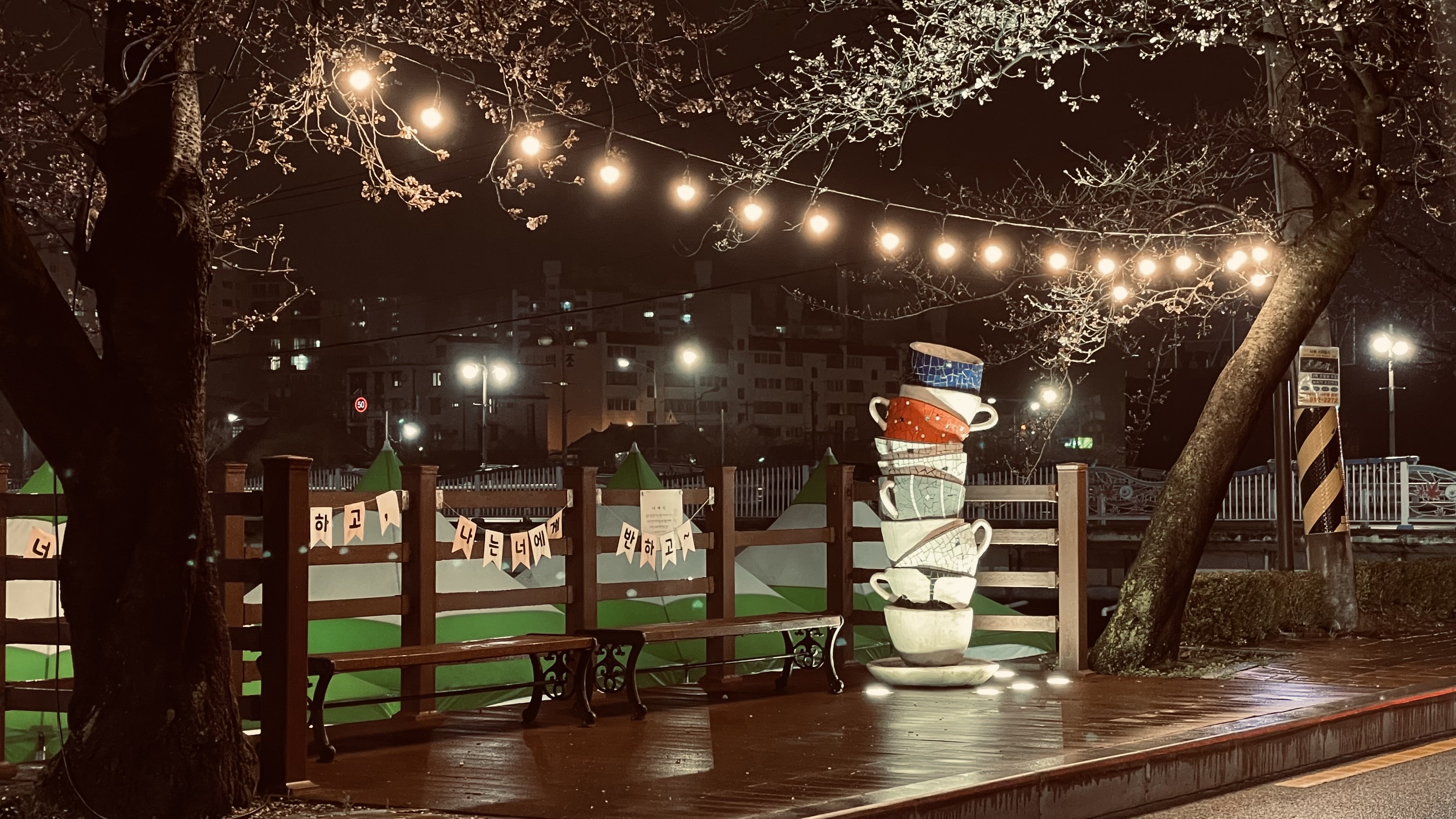 정읍 벚꽃 축제