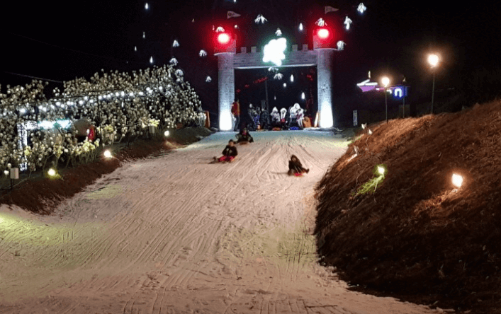 2023 고니골빛축제