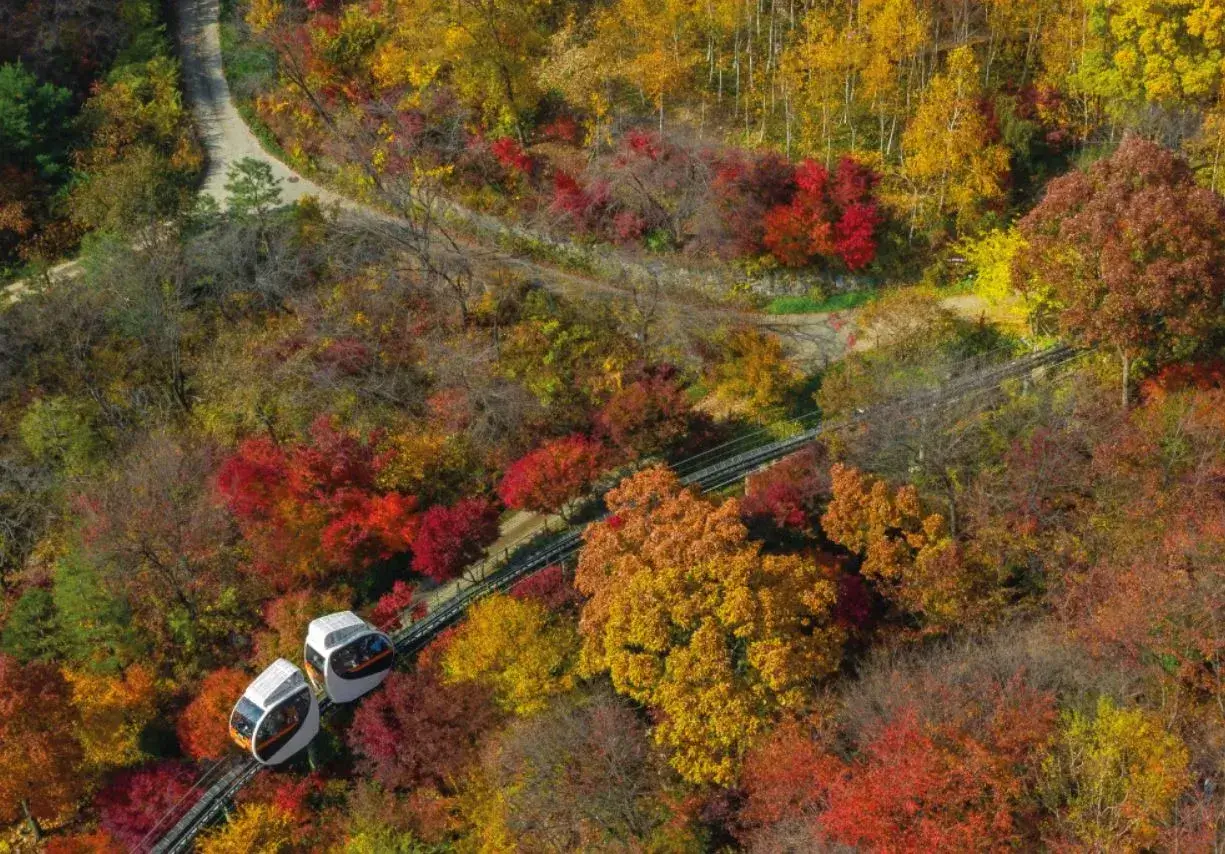 화담숲 예약 모노레일 단풍시즌