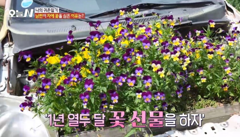 오늘N 나의 귀촌 일기 전남 담양군 대덕면 예쁜 정원 갤러리 카페 달빛여행 오늘N 2502회