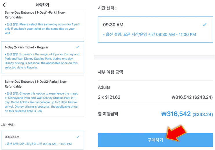 티켓-옵션-및-시간-선택-후-구매하기-누르기