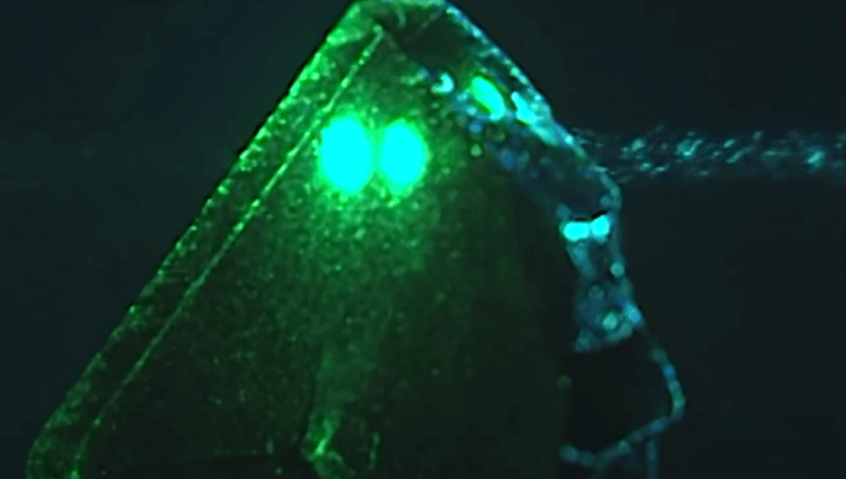 반도체 제조 과정을 찍은 사진