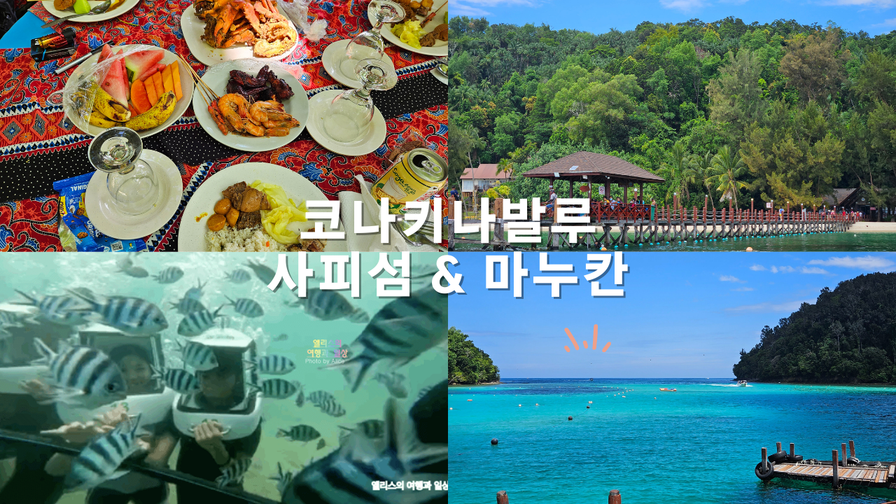 코타키나발루 씨워킹 사피섬 &amp; 마누칸섬 투어 추천 예약 후기