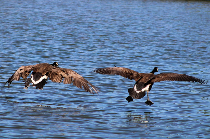 상강이란?(상강 뜻, 상강 한자, 상강 속담, 상강 날짜, 우리나라 24절기, 상강 절기, 상강 풍습, 상강 음식, 상강 양력, 상강 음력)