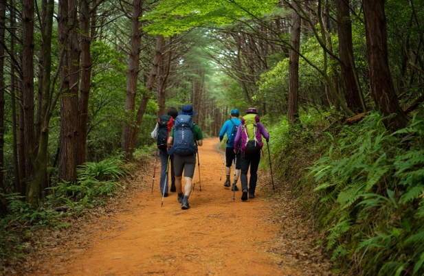 대전계족산황톳길