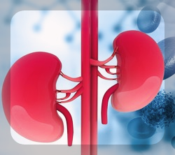 아보카도-효능-및-부작용