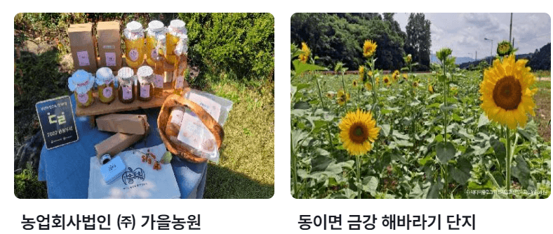 5월 충청북도 축제 일정 가볼만한 곳, 충청도 여행 추천