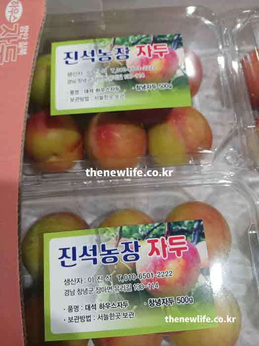 자두 효능 방법 베이킹소다 식초
