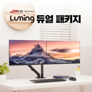 듀얼모니터