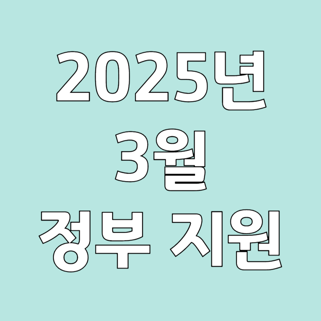 3월 정부 지원금 육아 가족 청년 월세 다자녀 노인 의료