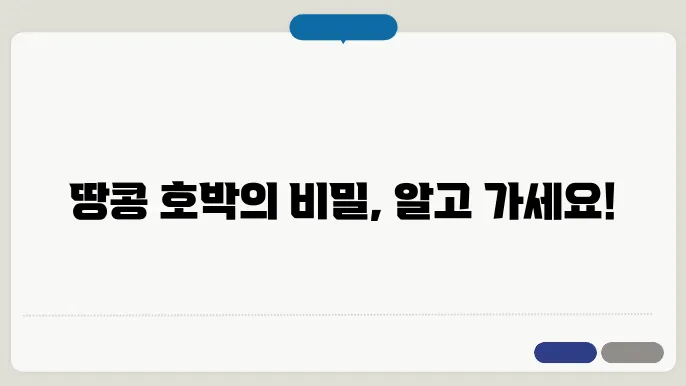 땅콩 호박 효능