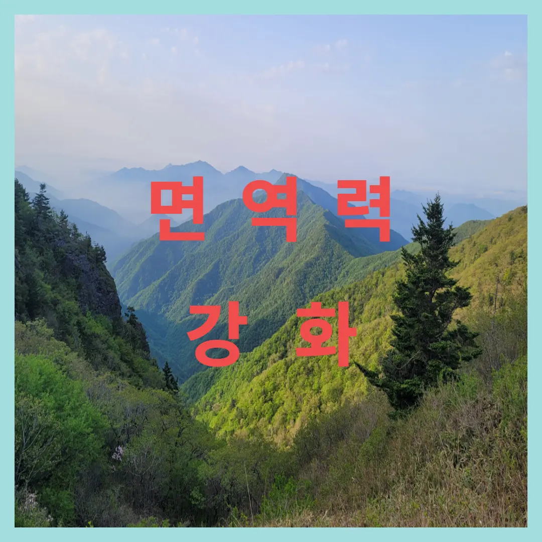 면역력 강화: 50대 이후, 감염병 예방과 건강 수명을 지키는 강력한 방패