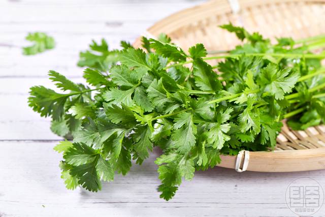 독소배출 음식 디톡스 식단 고수