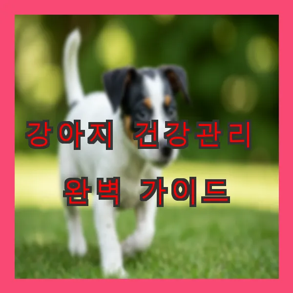 강아지 건강관리 완벽 가이드