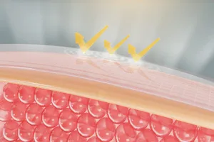 저분자-콜라겐-펩타이드-효능