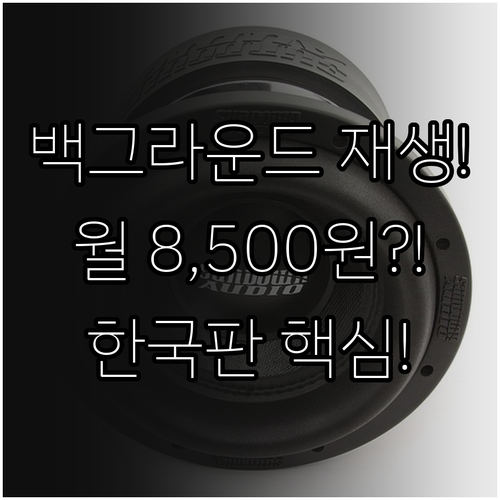 백그라운드 재생 포함 유튜브 라이트 ..