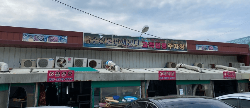 [6시 내고향] 부산 기장 학리 붕장어포차거리 말미잘 붕장어 요리