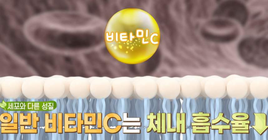 리포좀 비타민C