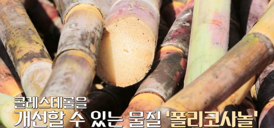 폴리코사놀