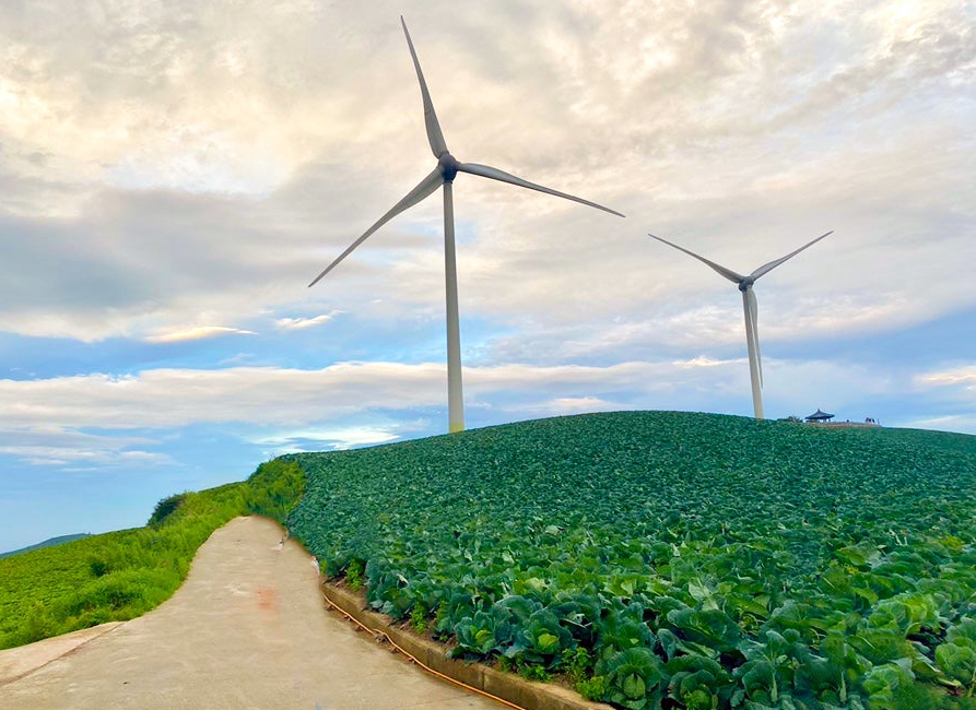 강릉 안반데기 멍에 전망대 주차장