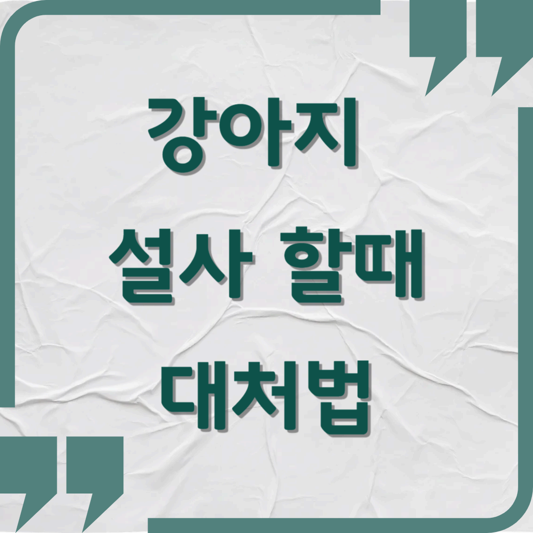 강아지가 설사를 할 때, 보호자가 꼭 알아야 할 대처법