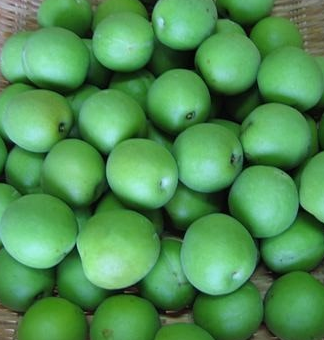 매실 효능과 부작용 고르는법 칼로리