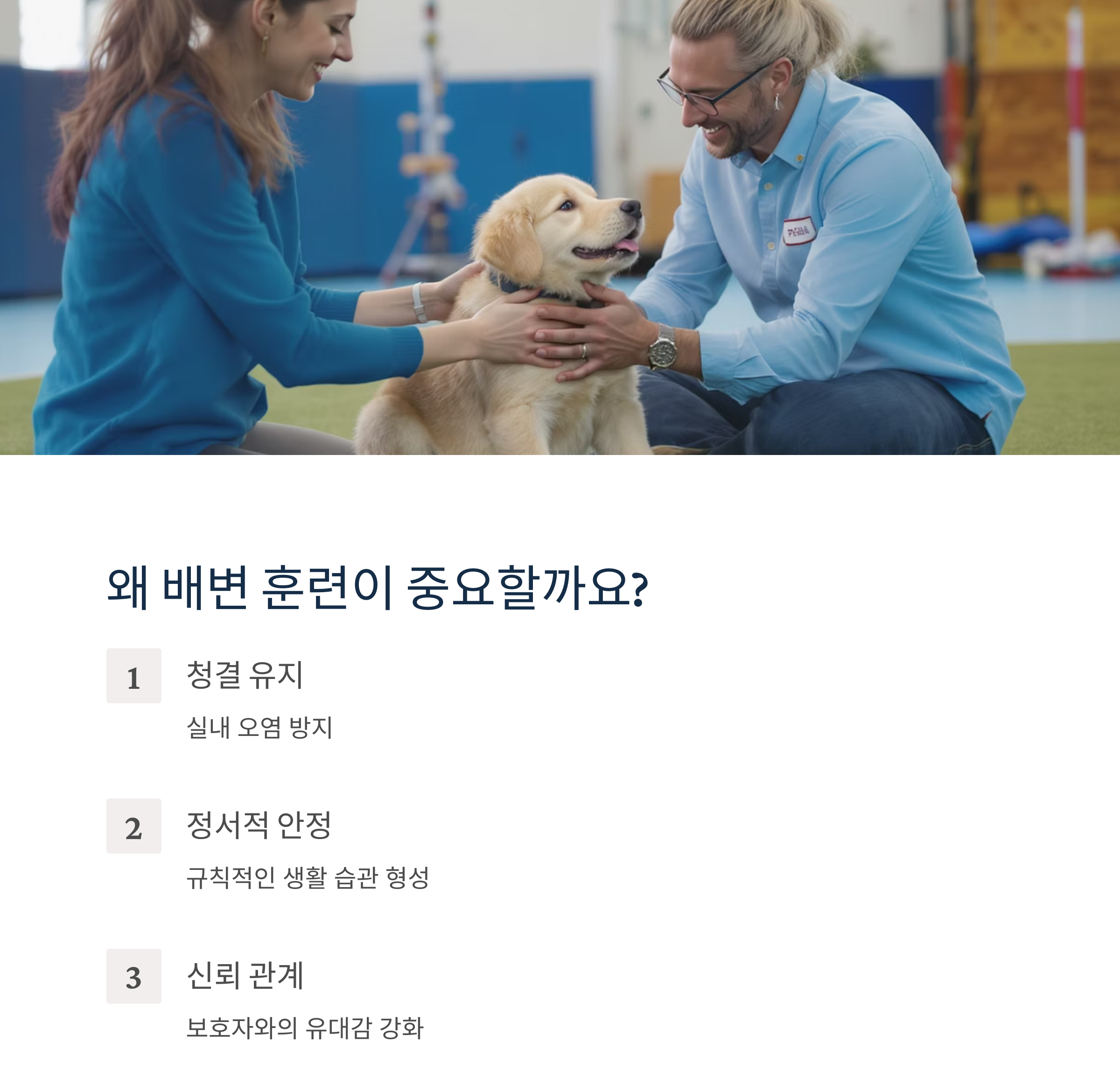 강아지 배변 훈련 완전 정복 가이드, 초보 집사 필독!