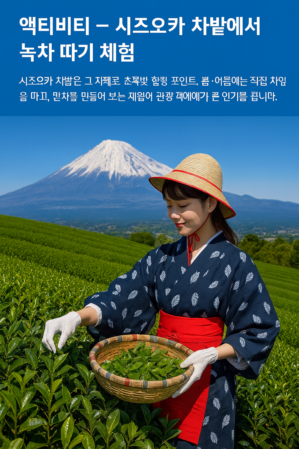 시즈오카 차밭 체험 코스 사진