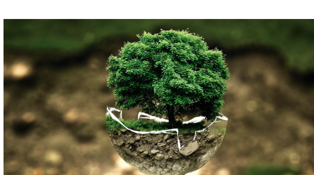 비건·제로웨이스트 라이프스타일 입문기 – 초보자의 도전기와 실천 팁