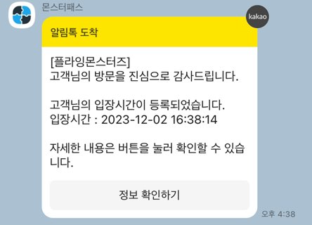 세종 플라잉 몬스터즈