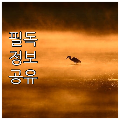 광양시 2025년 청년부부 결혼축하금..