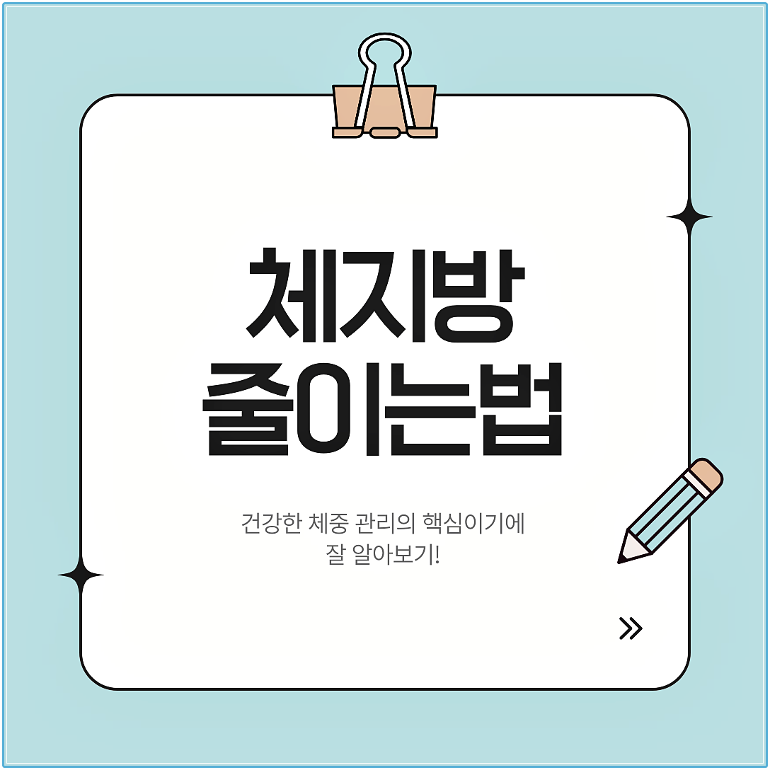 체지방줄이는법