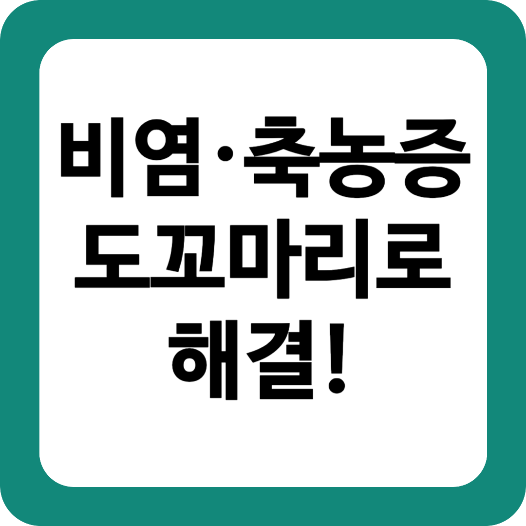 도꼬마리 효능