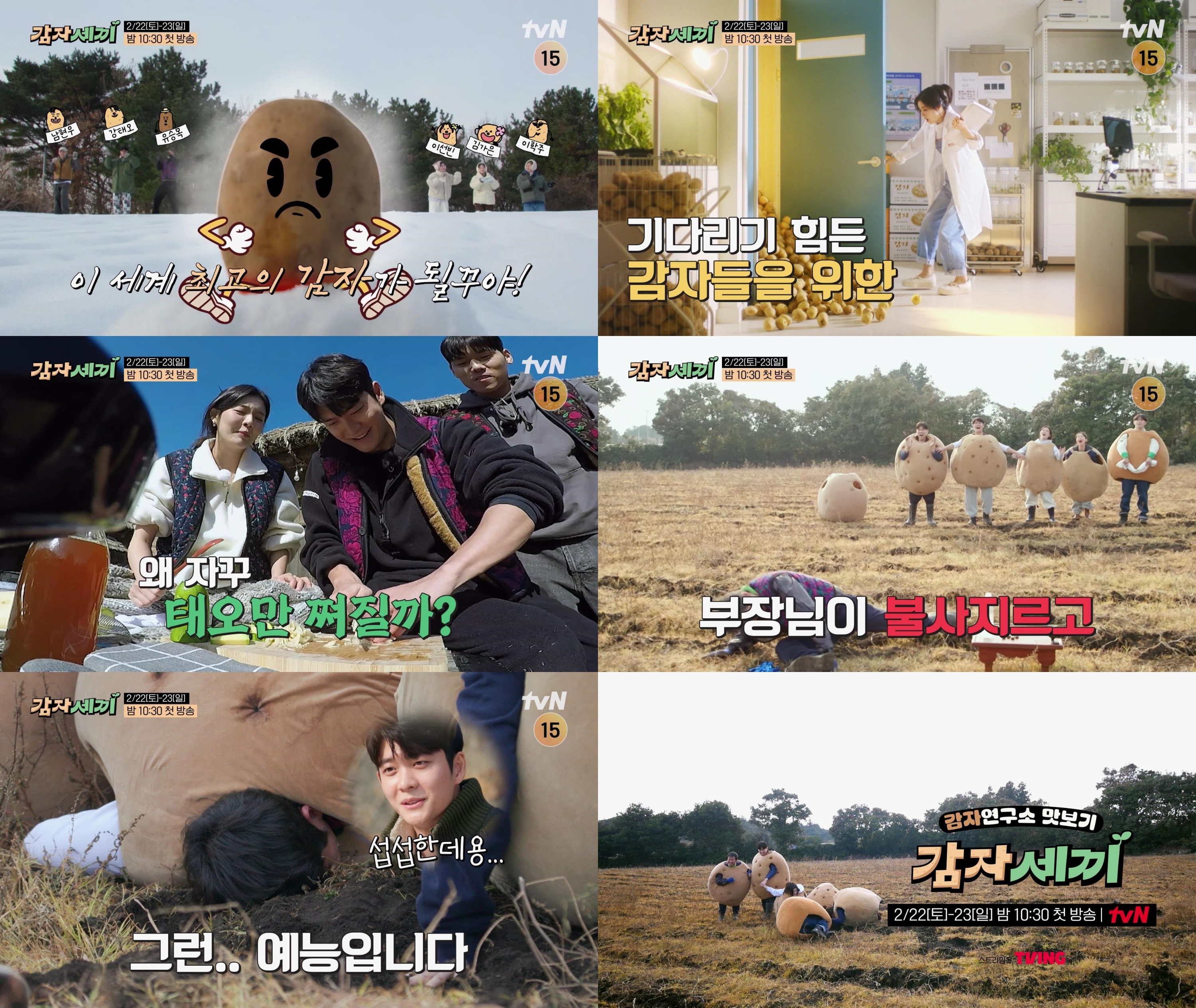 감자세끼